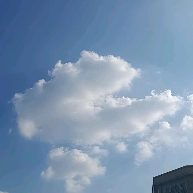 闲落落