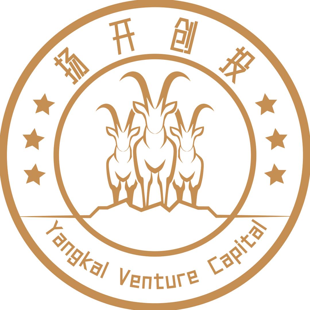 扬开创投