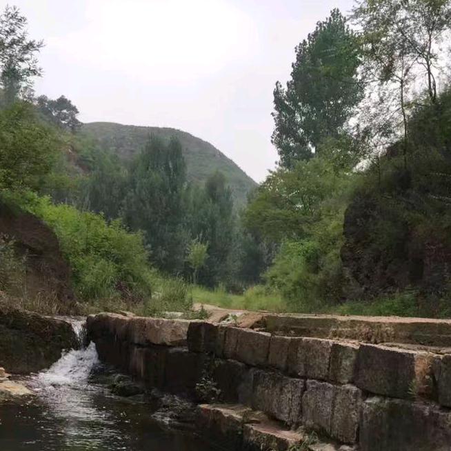 你若花开蝶自来