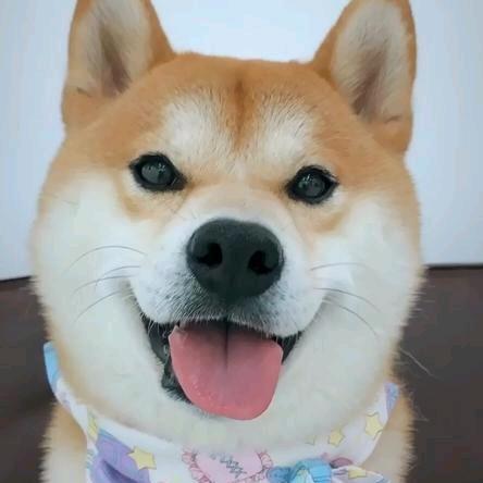 不吃饭堂（外卖版）