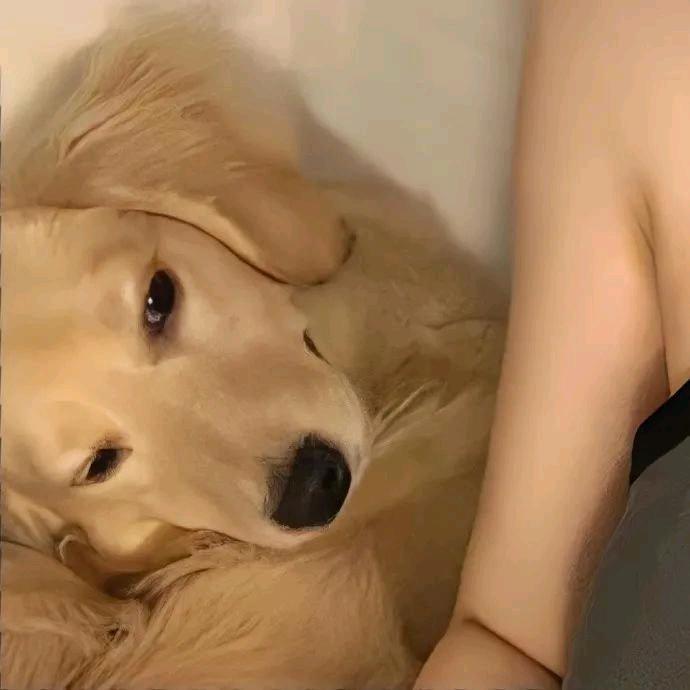馀香
