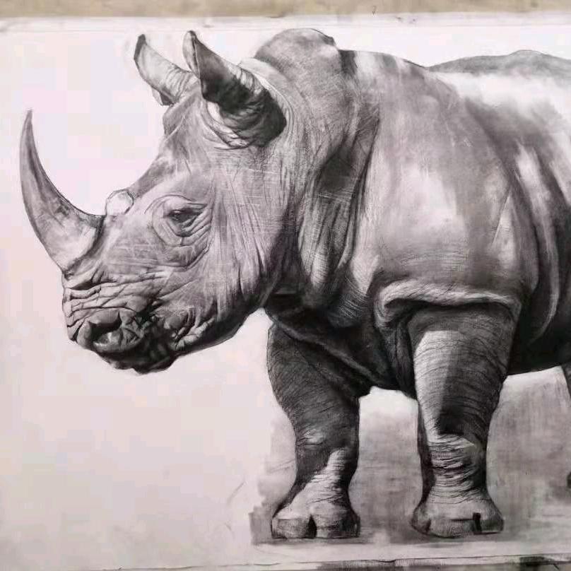THE  DARK  ZOO