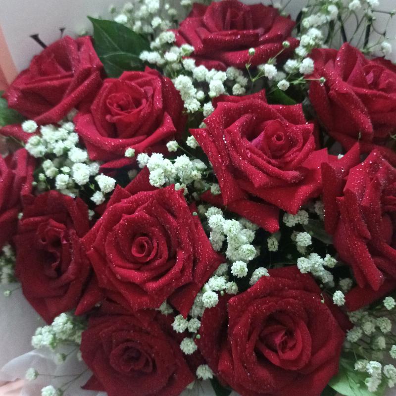 洋洋洋情感书单