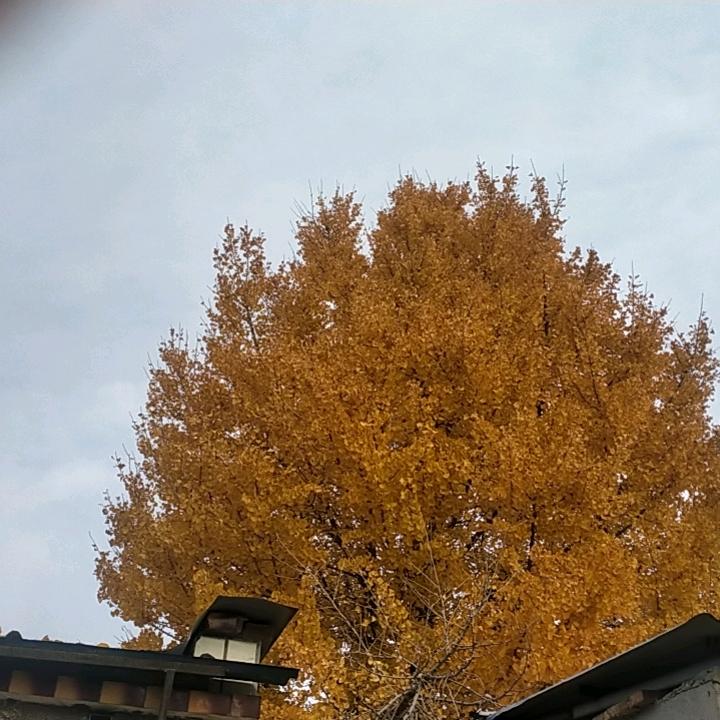 平安是福