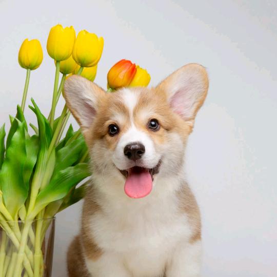 奋斗老头