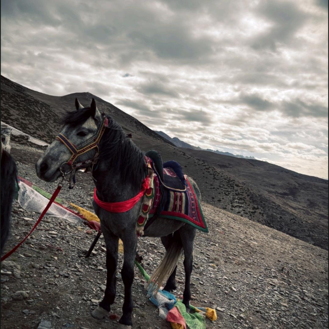 ༼ ཁུ་བྱུག་༽