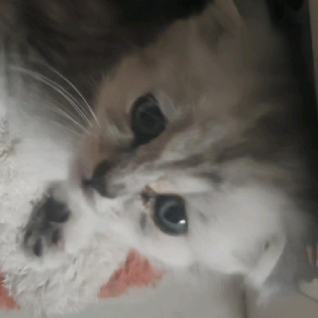爆炸吧