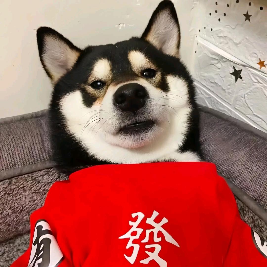 𝓤𝓷𝓻𝓮𝓺𝓾𝓲𝓽𝓮𝓭