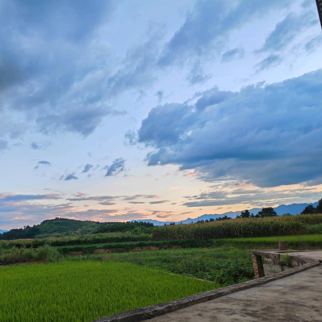 ￴ ￴ㅤㅤㅤㅤㅤ