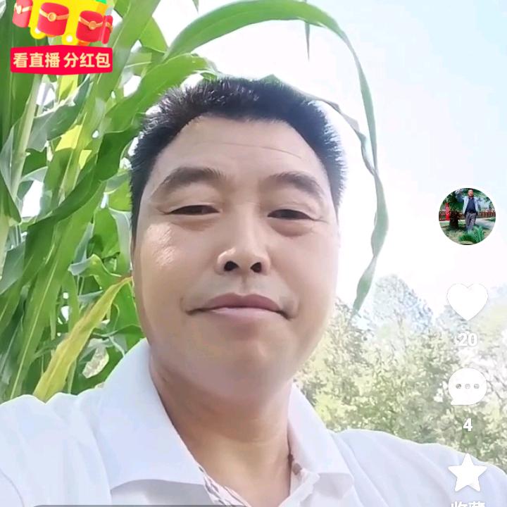 道由心学，二肖