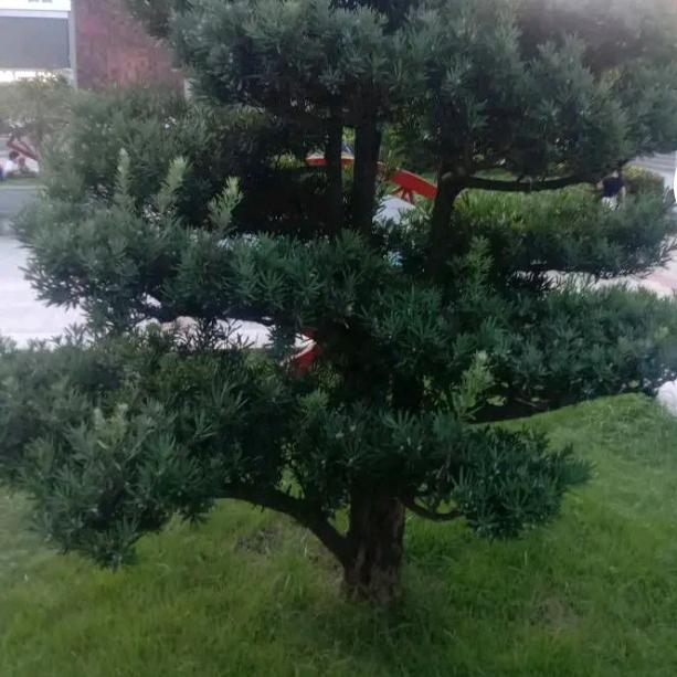 幸福在来的路上🍎