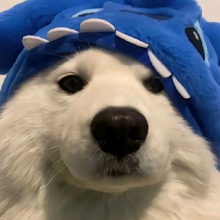 逍遥自在