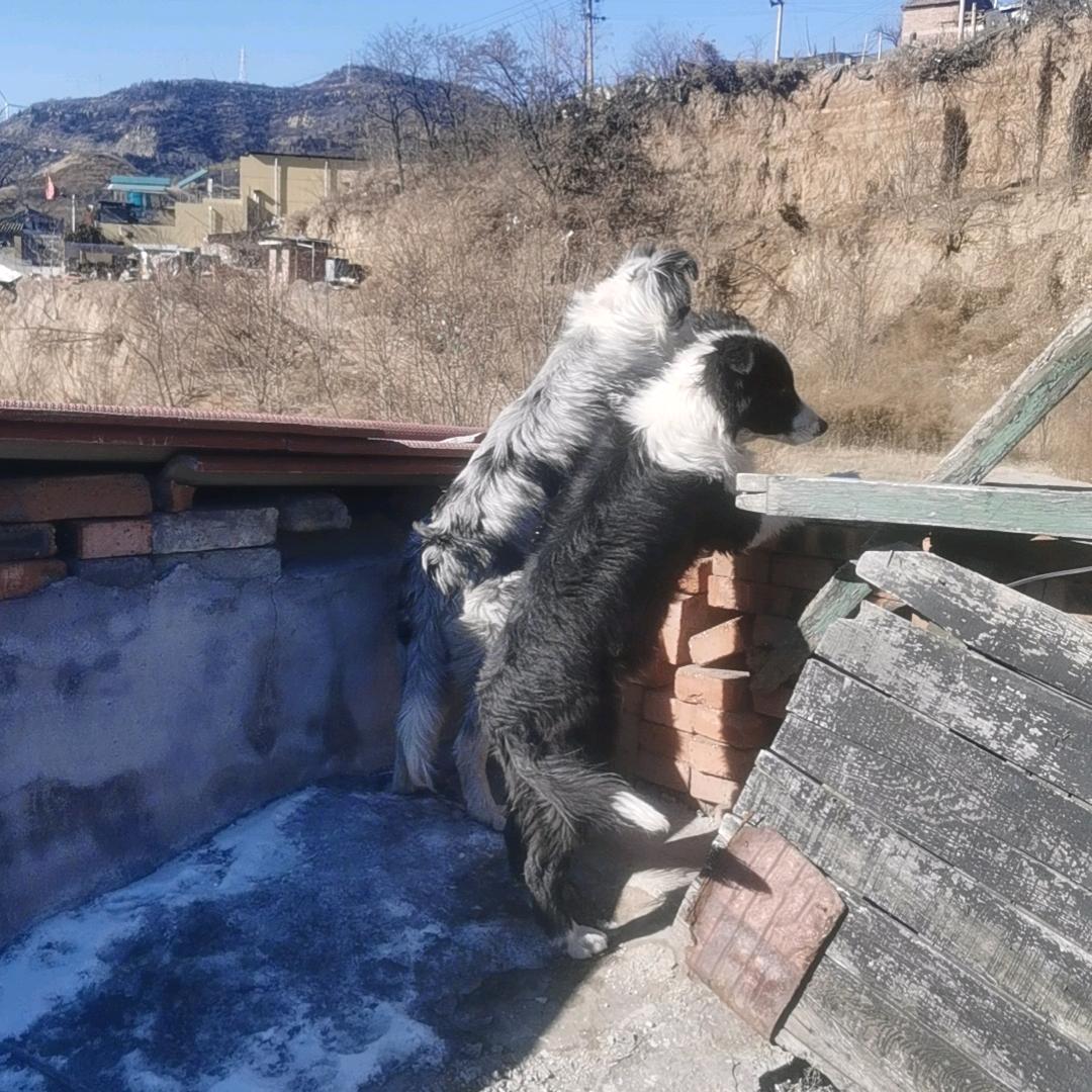 用户1553223124207