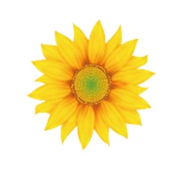 葵花旗舰店授权6号