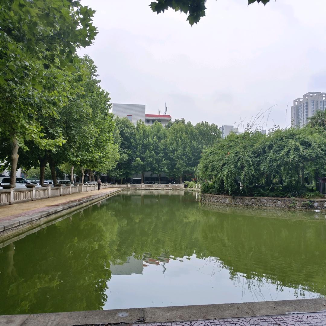 升学闫老师