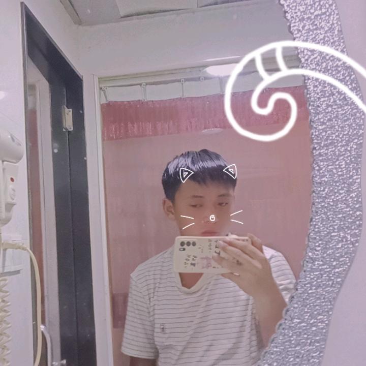 罗龙虎