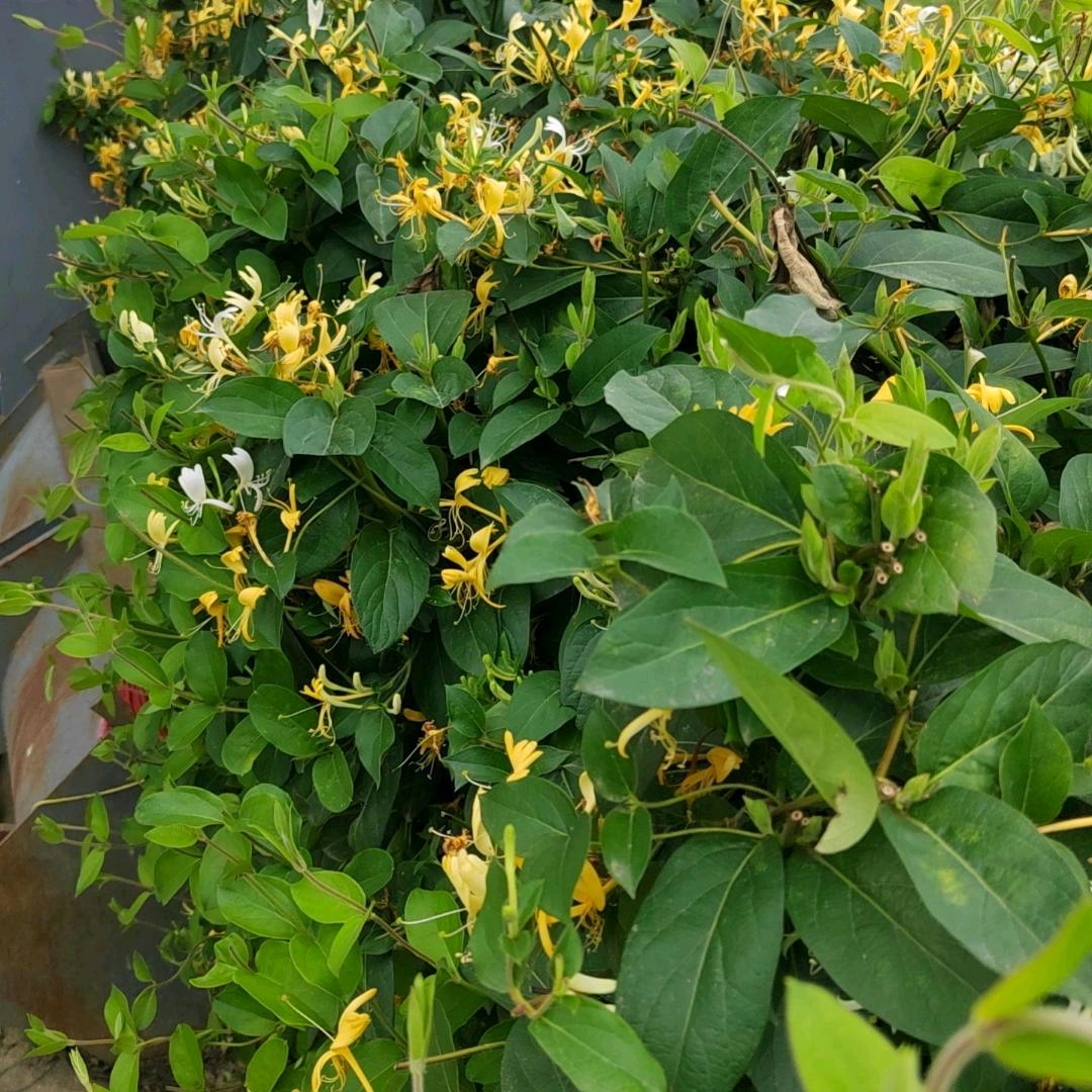 为你而来
