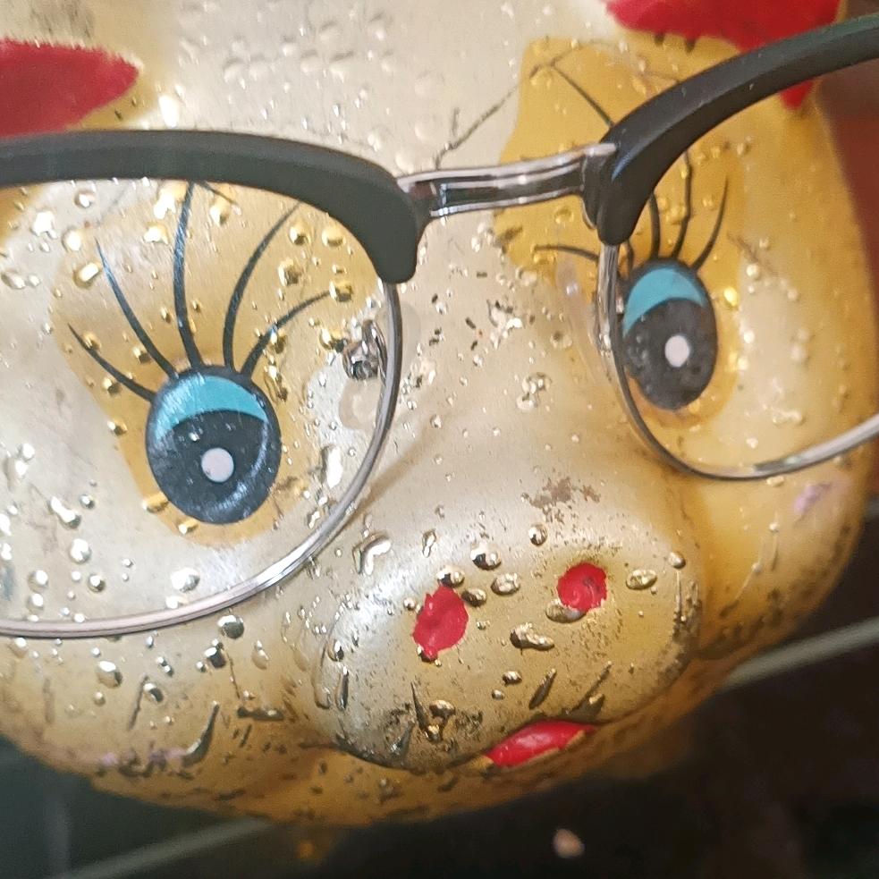 抖玲