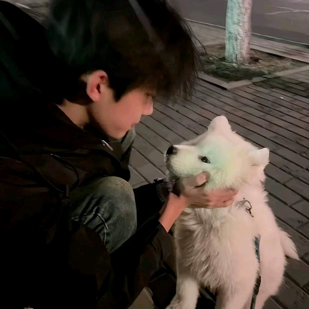 わすきですあなた