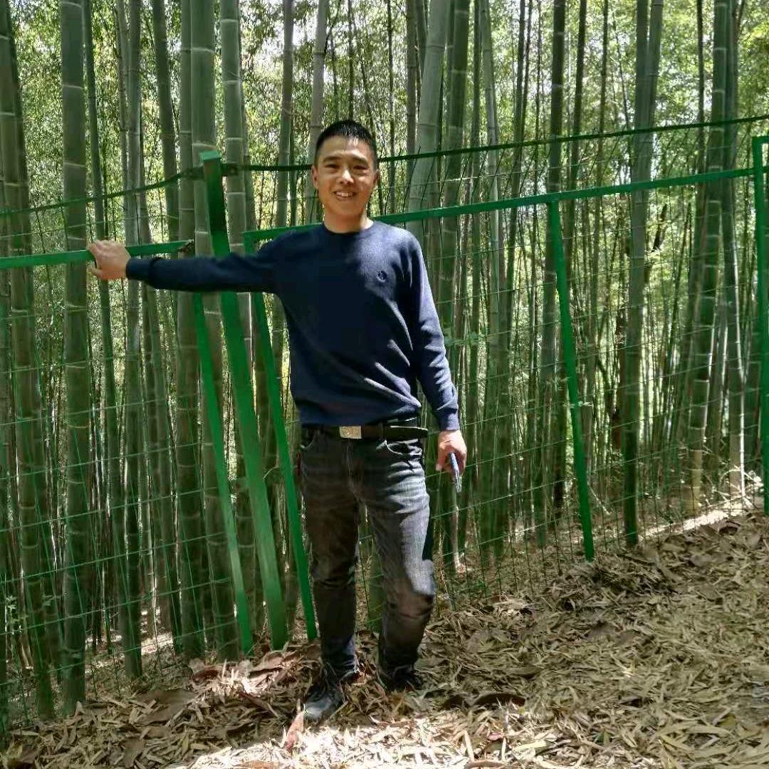 淡淡的悟