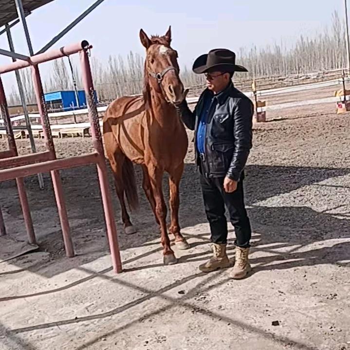 旋风骑士马术俱乐部