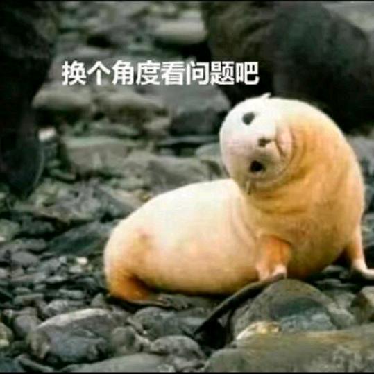 ༄ღ响丁当🧚࿐
