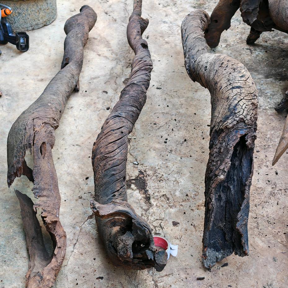 一块风化木--木隐千年