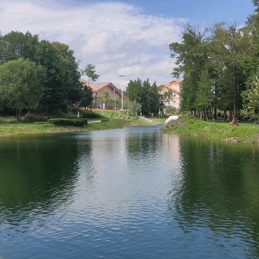 @静水流深🐠🐠🐠