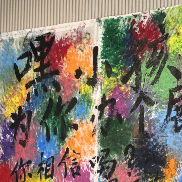 爱吃萝卜和青菜