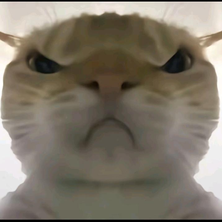 煲仔