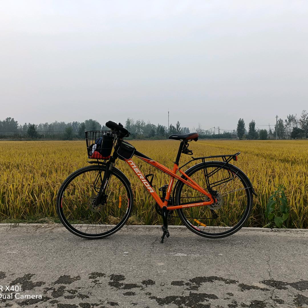 沛县劲美健身俱乐部