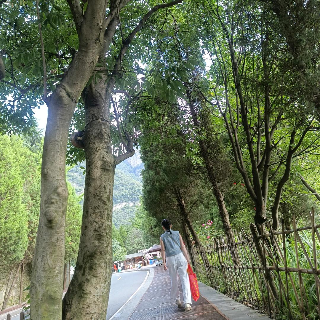 莱美黎明
