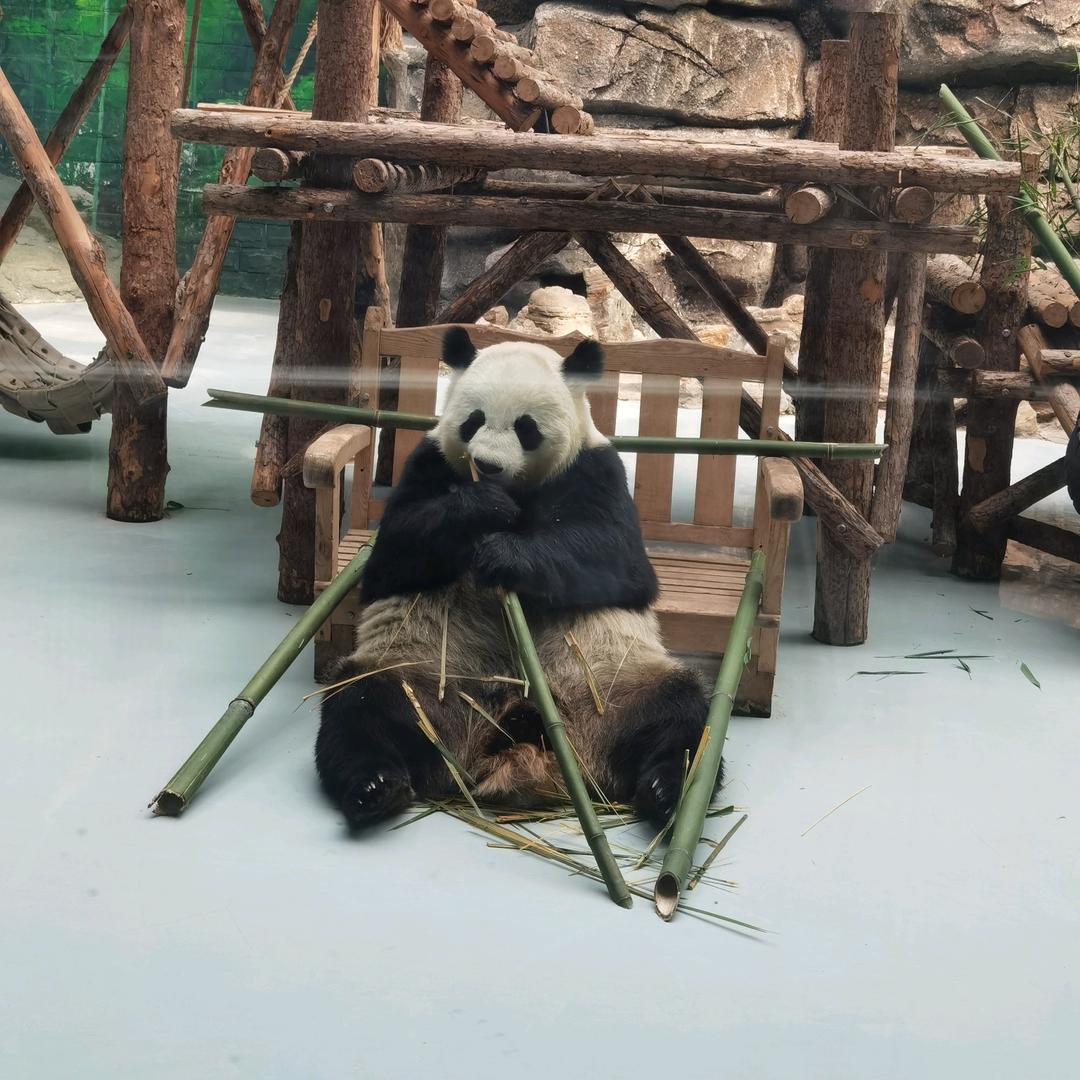 随馨所煜