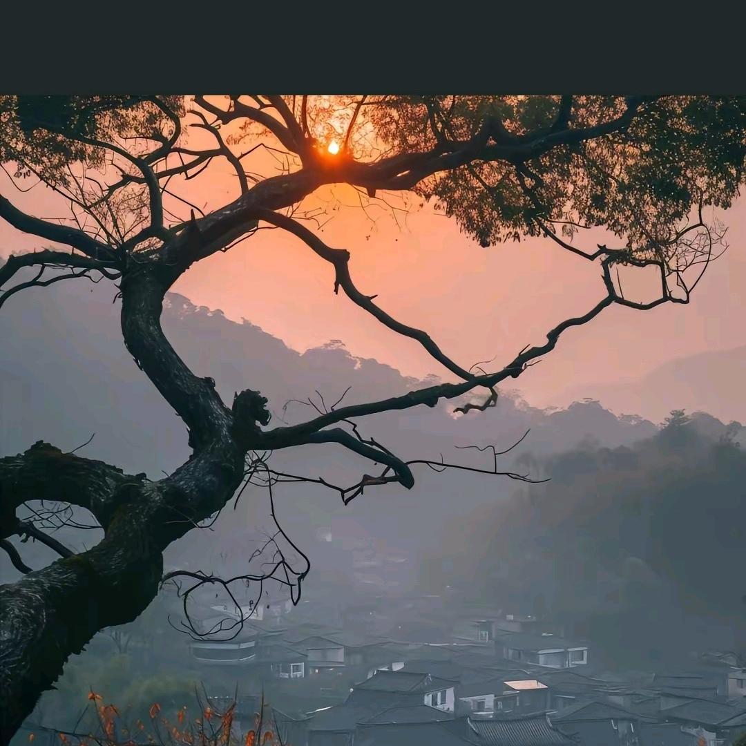 ( ˘ ³˘)❤勿唁❤