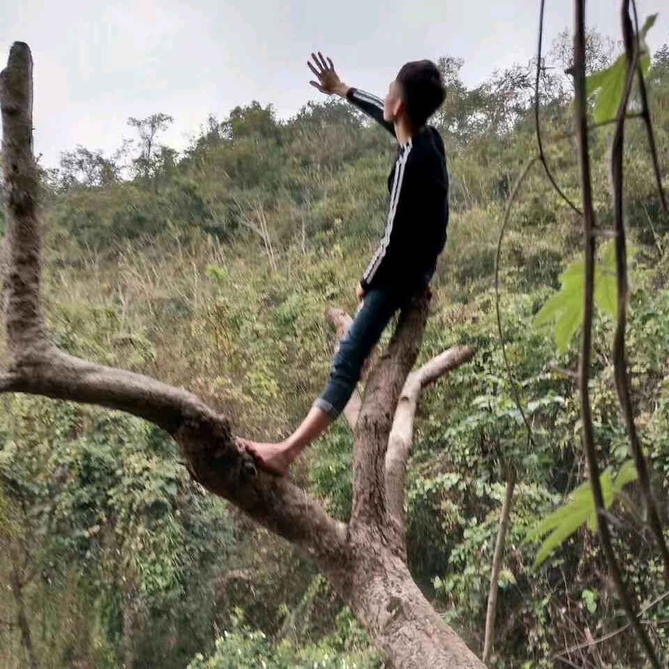 香菜泡饭🌿（不吃香菜）