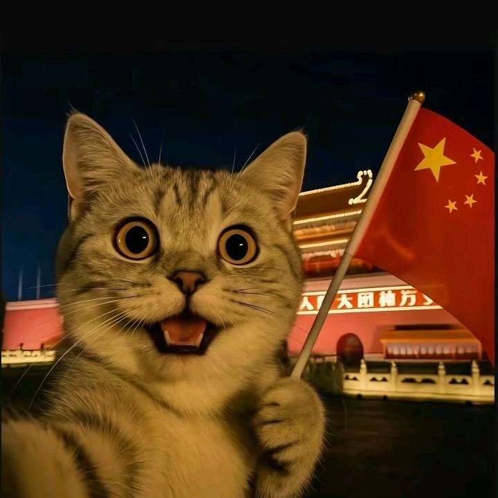 猫小乐宠物