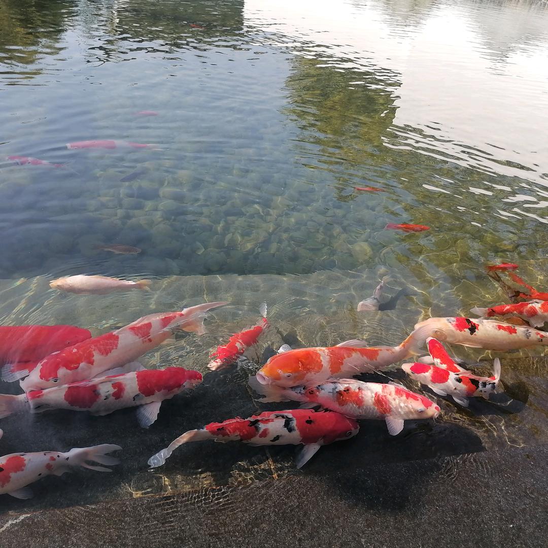 用户1116688274370山水间