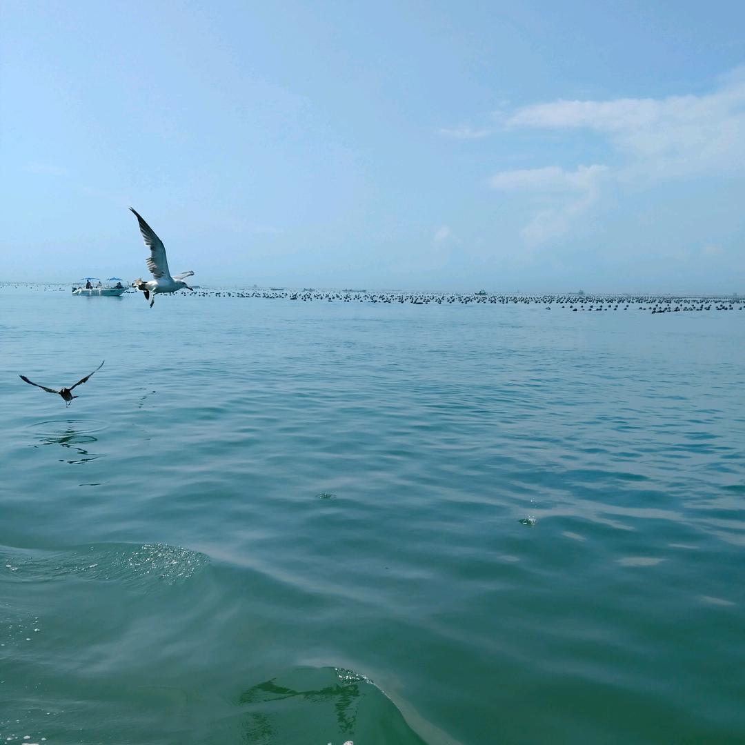 ╭❤～ಇ᭄孤狼࿐