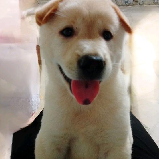 远在眼前一片光明