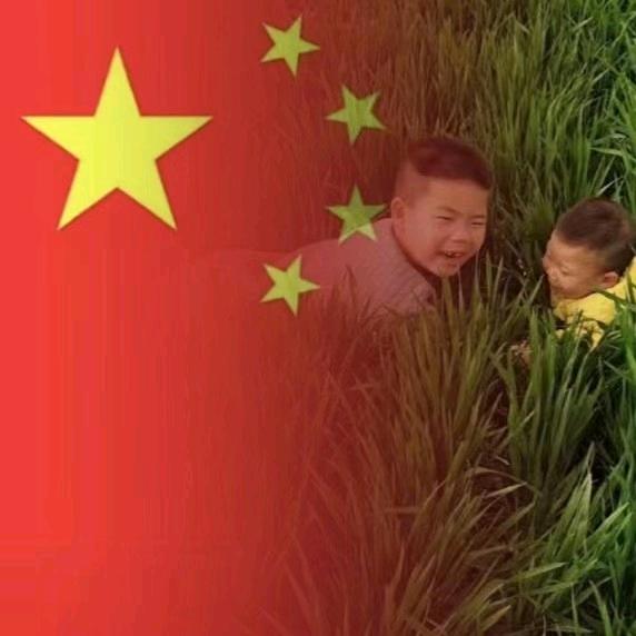 两个儿子的妈妈