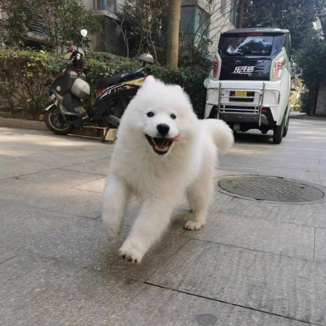 一 一