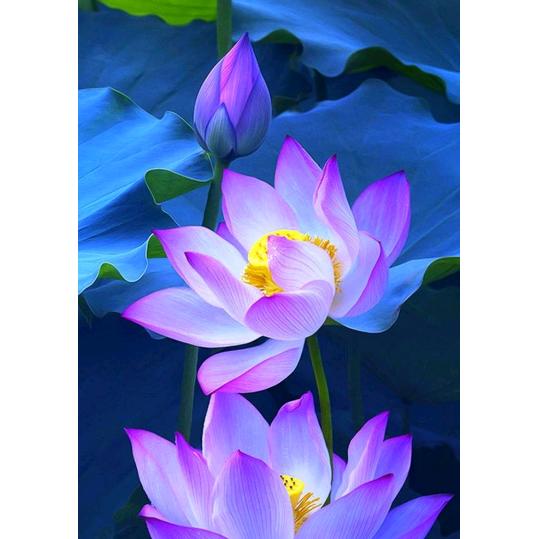 一生幸福
