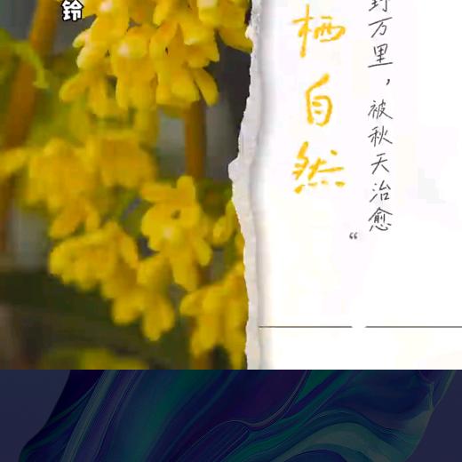 免费技能培训