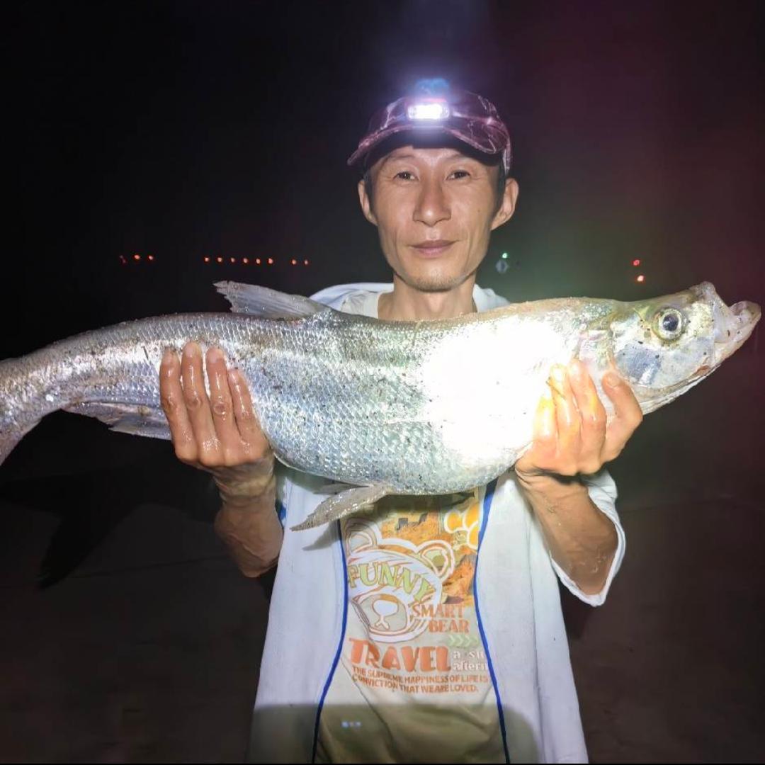 钓鱼人🎣（谢）