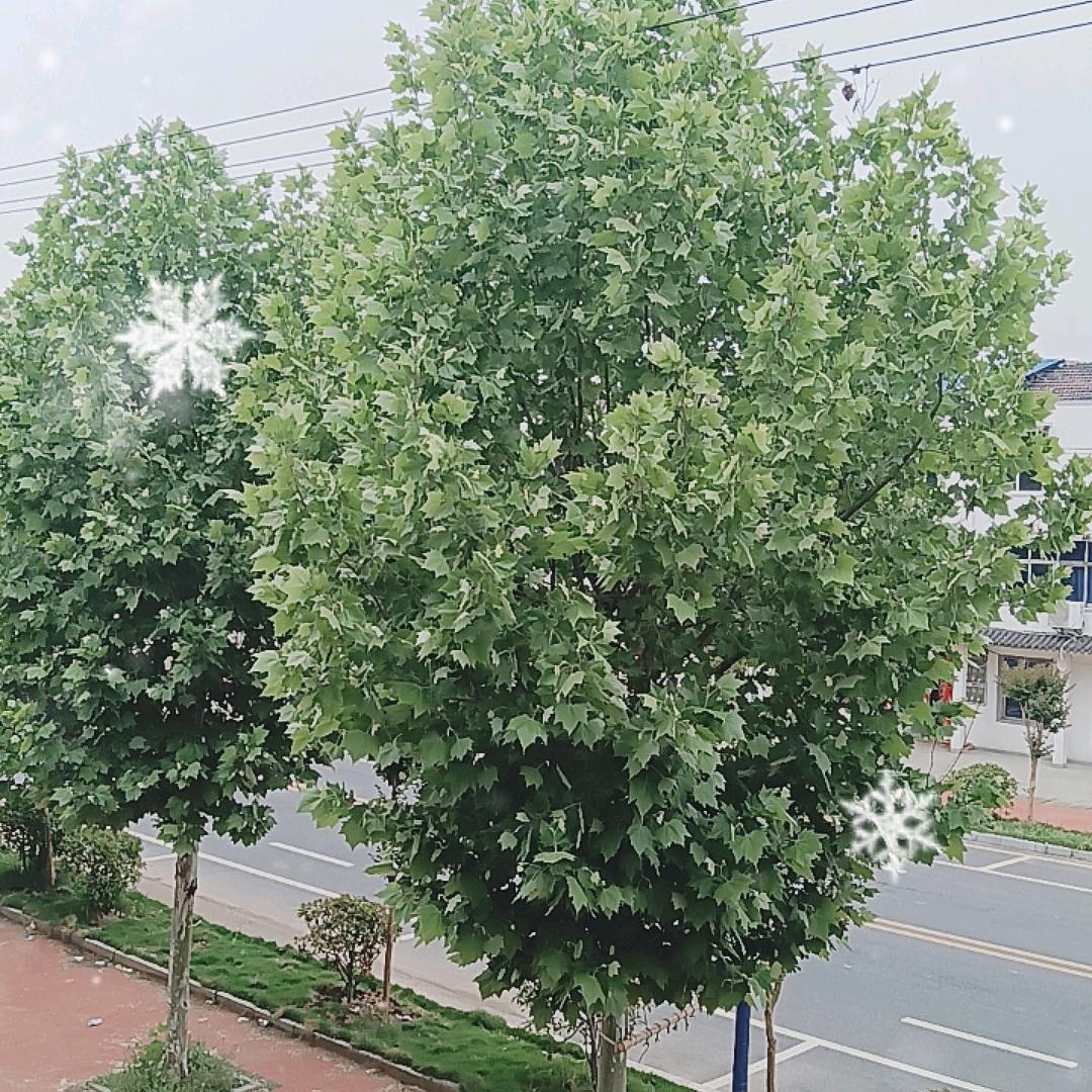 马到成功