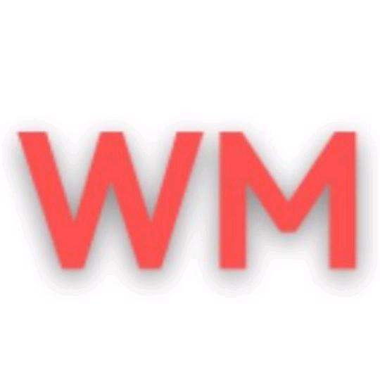 中国WM投资