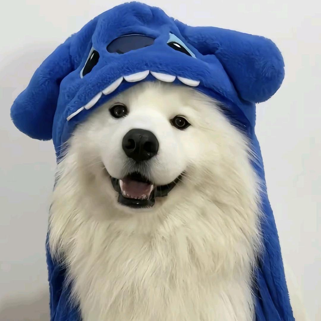 吃番茄长大的西红柿