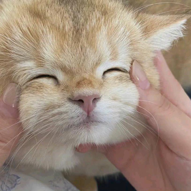 寒心（永劫无间）