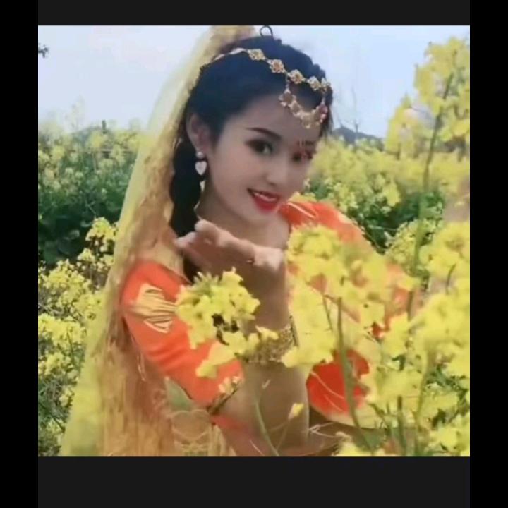 雪梨花
