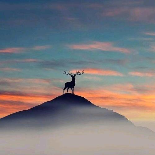 赵老师特种作业行业协会